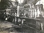 La macelleria di Canton Natale. Sotto il Salone, anni '30 (Massimo Pastore)